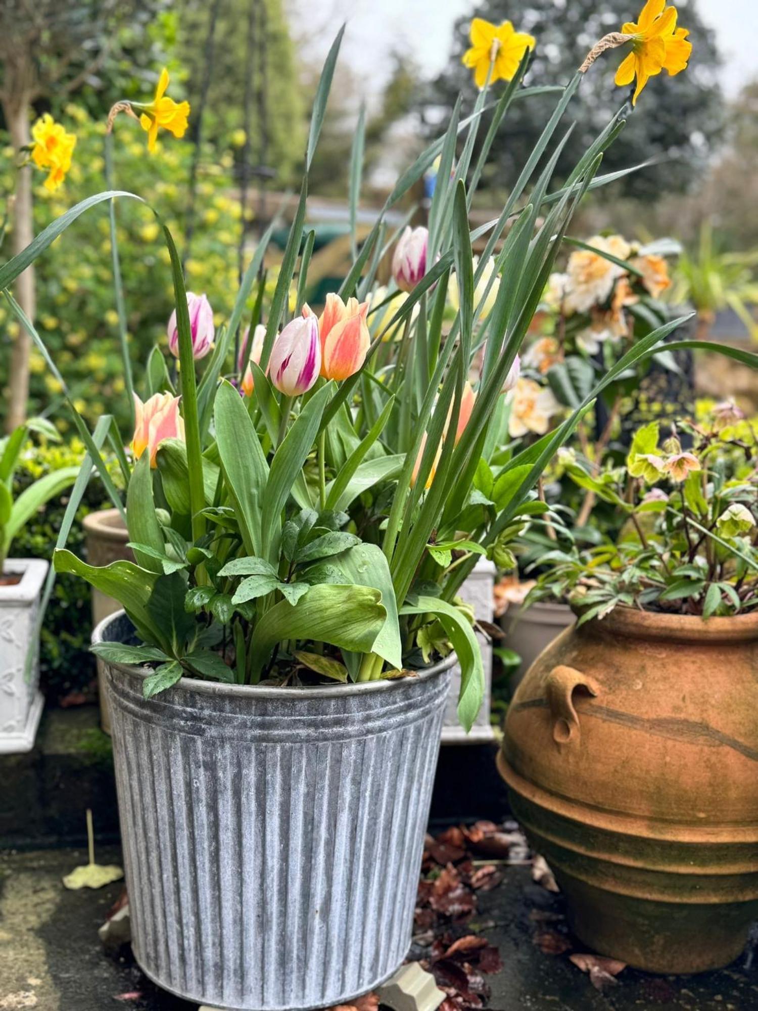 'Bramley Fall Cottage' ' On Site Ev Point - Attached Cottage,3 Separate Bedrooms -1 On Ground Level, Sleeps 6, 2 Bathrooms, Sandy Wittering Beach 8Min Drive, Rural Location, Child Friendly, Small Breed Dog Friendly, Private Parking 치체스터 외부 사진
