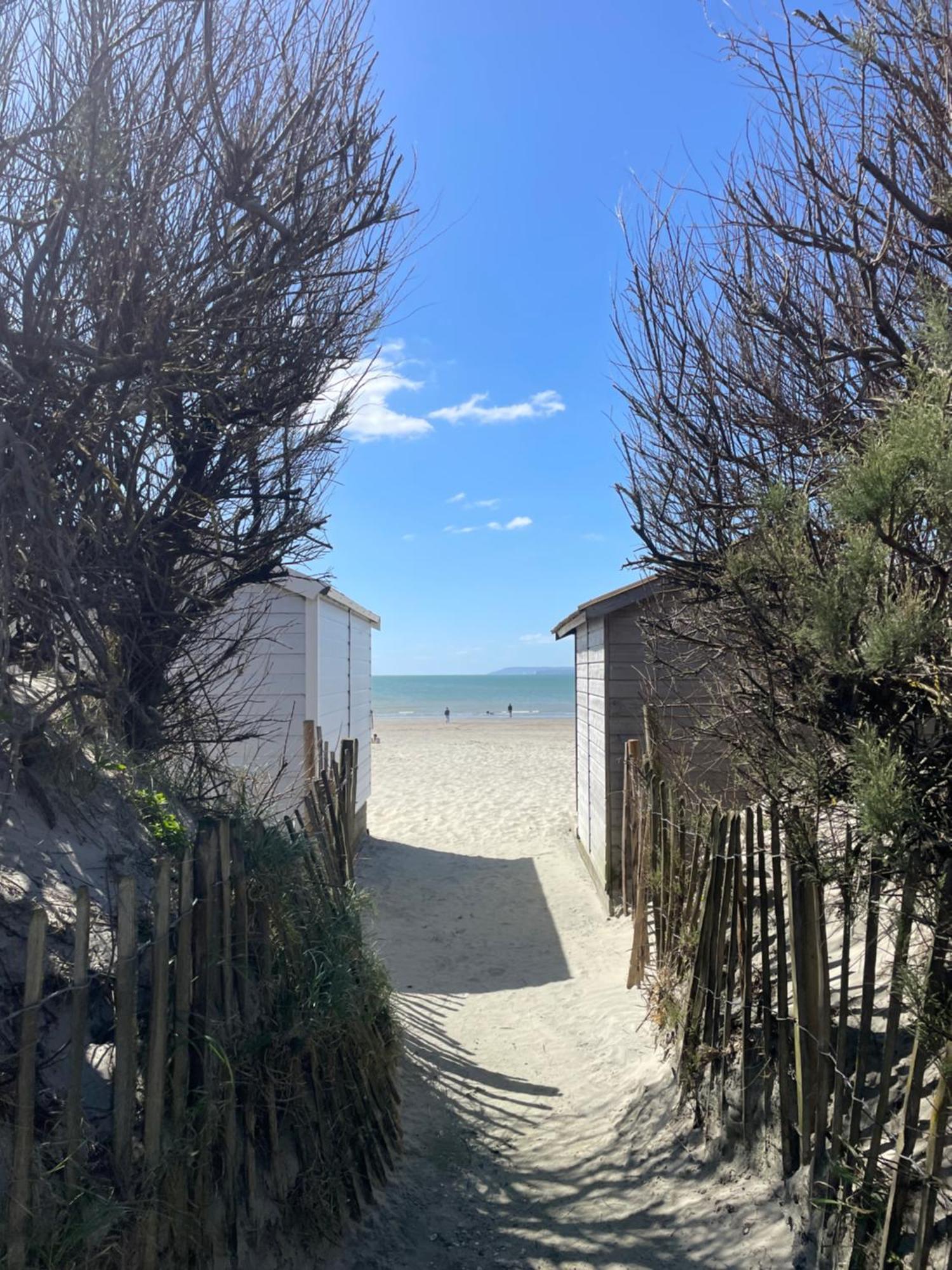 'Bramley Fall Cottage' ' On Site Ev Point - Attached Cottage,3 Separate Bedrooms -1 On Ground Level, Sleeps 6, 2 Bathrooms, Sandy Wittering Beach 8Min Drive, Rural Location, Child Friendly, Small Breed Dog Friendly, Private Parking 치체스터 외부 사진